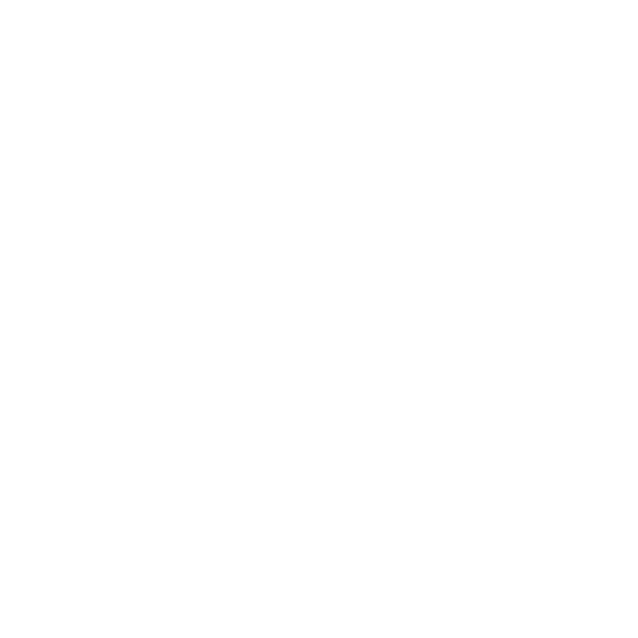 Fog Ninja Logo